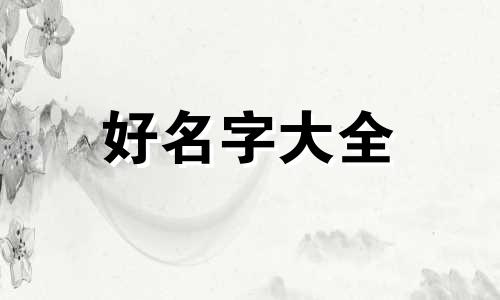 毛绒玩具厂如何起名字