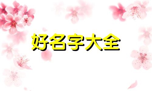 虎娃如何起名字好听点女孩