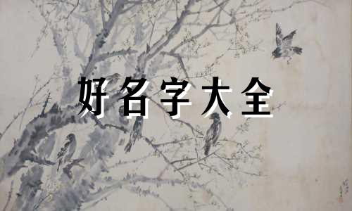 家门如何起名字好听一点