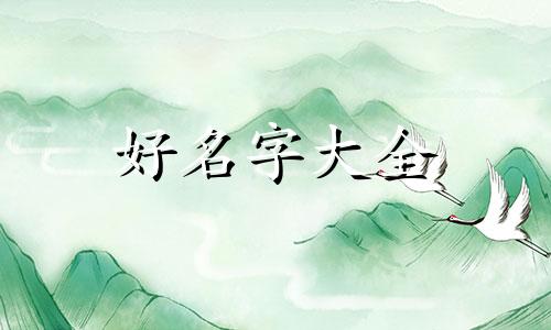 一只猫如何起名字可爱