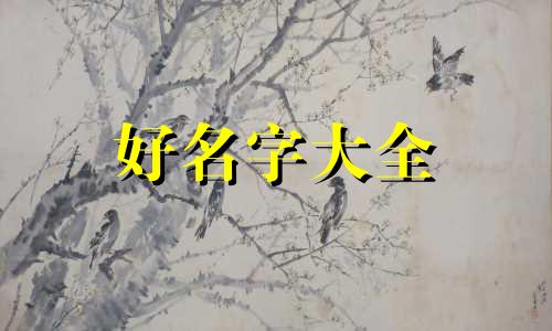 如何给公司快速起名字好听大气