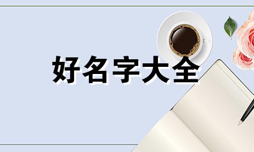 兔宝如何起名女孩好听一点