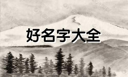 网红号如何起名字好听女生