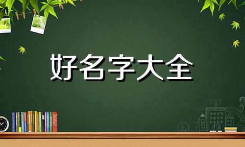 小奶猫如何起名字好听女孩