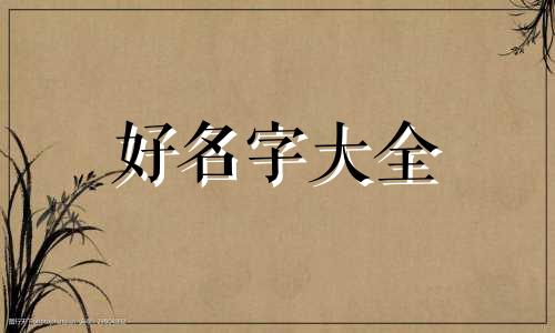 洗车场如何起名字呢好听