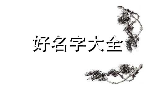 如何为夜市起名称好听点