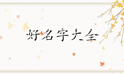 如何给蜜袋鼠起名好听一点