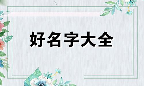 金丝熊公母如何起名字好听