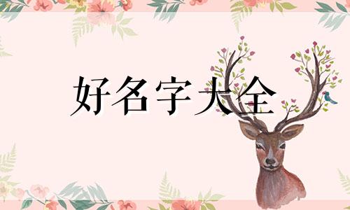 如何给球鞋起名字女生好听