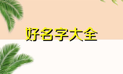 包子粥如何起名字好听又简单