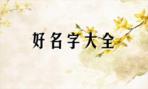 如何给合唱组合起名字