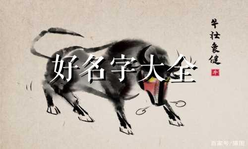 让你模仿如何给宠物起名字