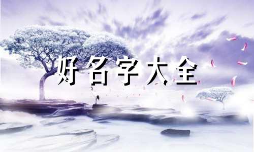 只玩司马懿如何起名字