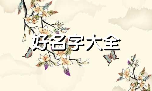 猪肉食品公司如何起名好听