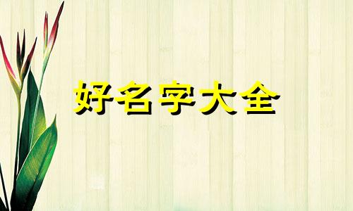 市政道路如何起名称的