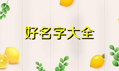 如何给海边民宿起名字大全