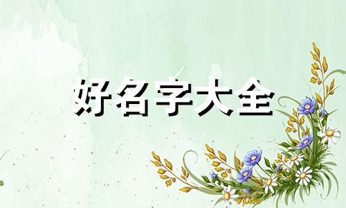 如何自己开轻食店起名字