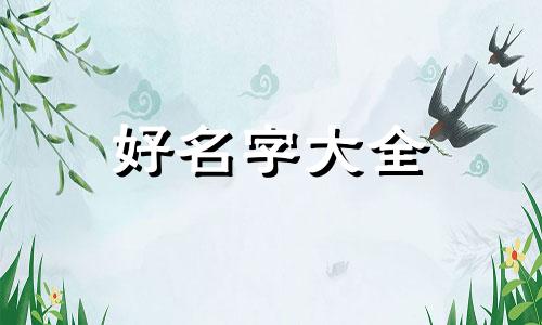 一只猫如何起名子好听点