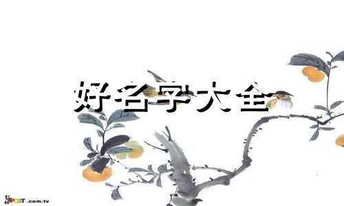 如何给小吃摆盘起名称大全