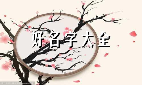 如何给饭团店起名子吸引人