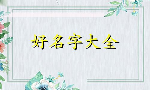 如何给花束包装起名字好听