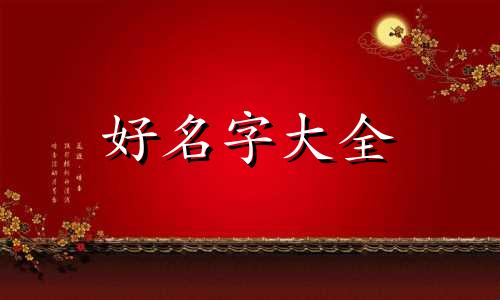 如何给宠物兔起名字男宝宝