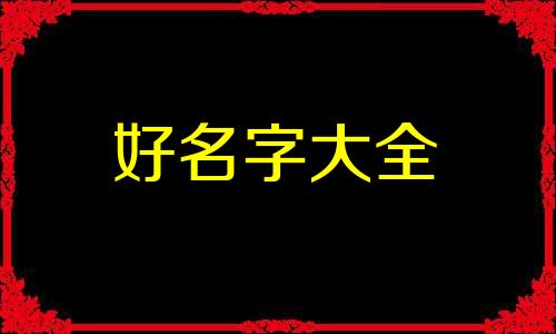 比熊狗狗如何起名好听一点