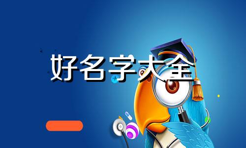 如何给碗莲起名字好听点