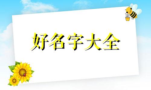 社会群体如何起名称的名字