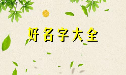 花店如何起名字好一点