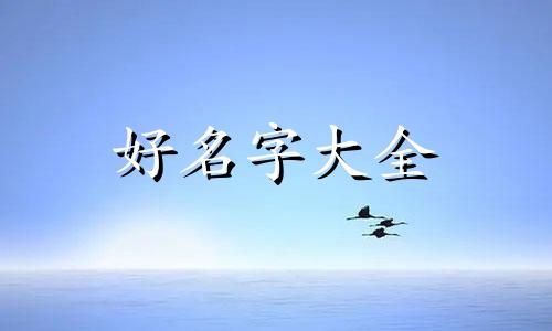 海报如何起名字好听一点