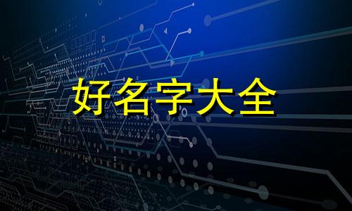 如何在海口开公司名称起名