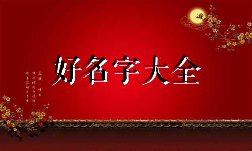 给卖衣服的商店如何起名好听点