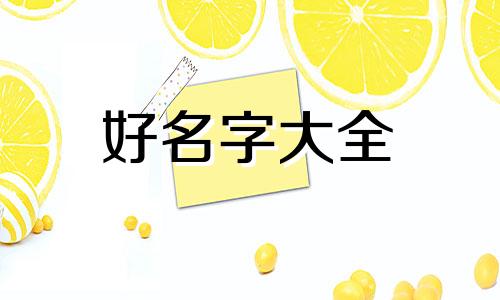 小白兔如何起名字的寓意