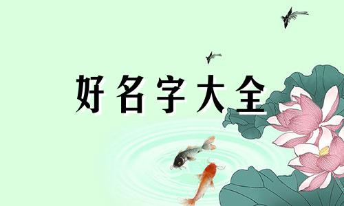 餐饮羊肉汤如何起名字好听