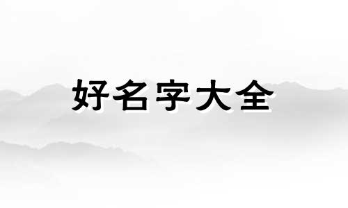 纯粮酒坊如何起名字呢视频
