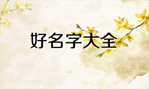 五红犬如何起名好听的名字大全