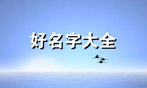 扫街摄影如何起名称呢图片