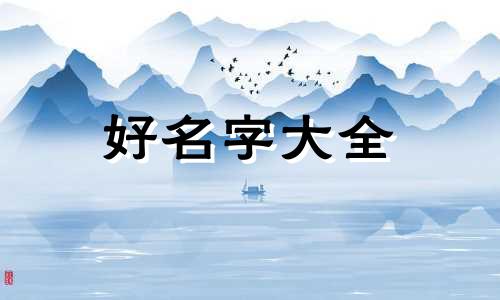 养狗公司如何起名好听一点