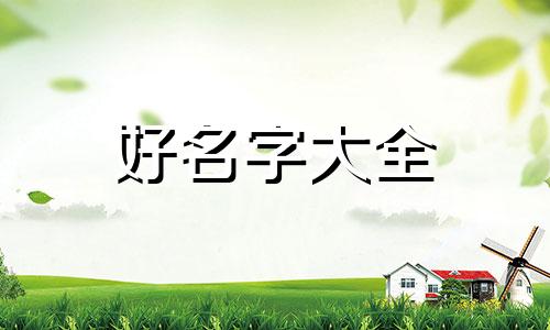 零食店网店名字如何起名