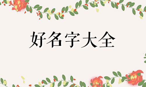 男虎宝如何起名字好听点