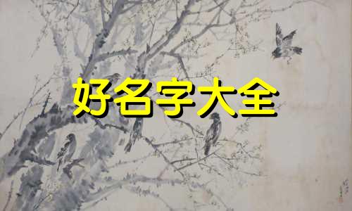 如何帮兔子起名称好听点