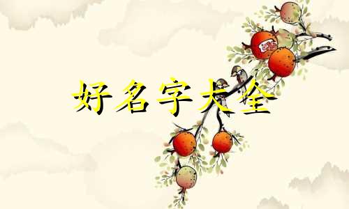 鲁姓宝宝如何起名好听一点