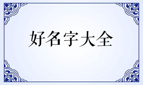 私厨饺子如何起名好听一点
