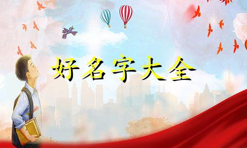 拍车博主如何起名字好听