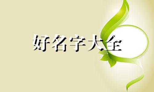 小奶猫如何起名字好听的