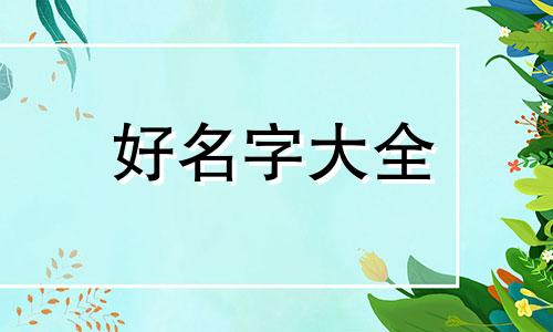 马来西亚如何起名字的英文