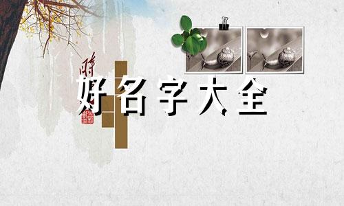 纸做的棉花娃娃如何起名字