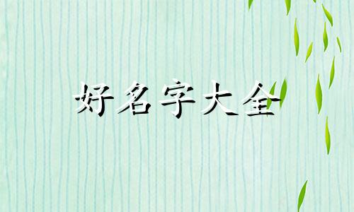 李加麦如何起名字好听男孩