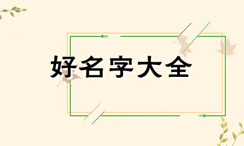 如何给小布偶猫起名字大全